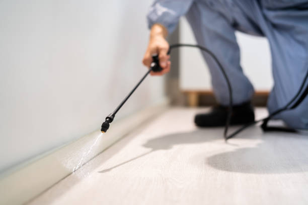 Licensed Fumigation Services service in Fairmount Heights, MD - Nex Pest Control