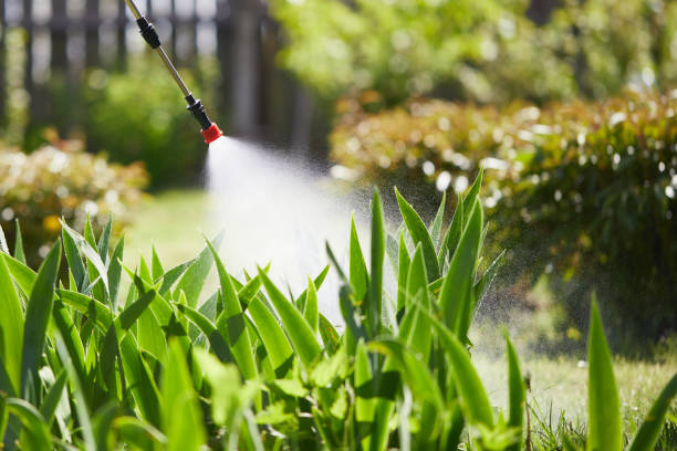 24/7 Emergency Fumigation Services experts in Fairmount Heights, MD