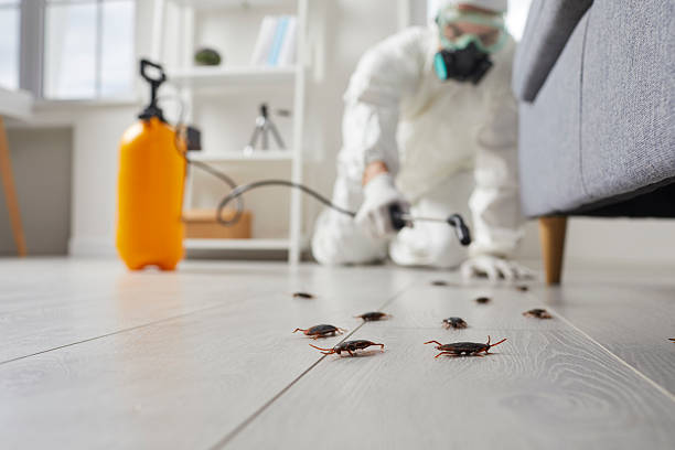 Trusted Rodent Control service in Fairmount Heights, MD - Nex Pest Control