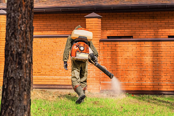 Trusted Fumigation Services service in Fairmount Heights, MD - Nex Pest Control